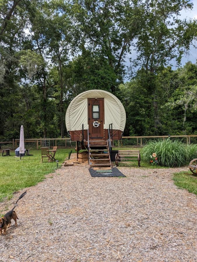 Rooterville Animal Sanctuary Melrose Exterior foto