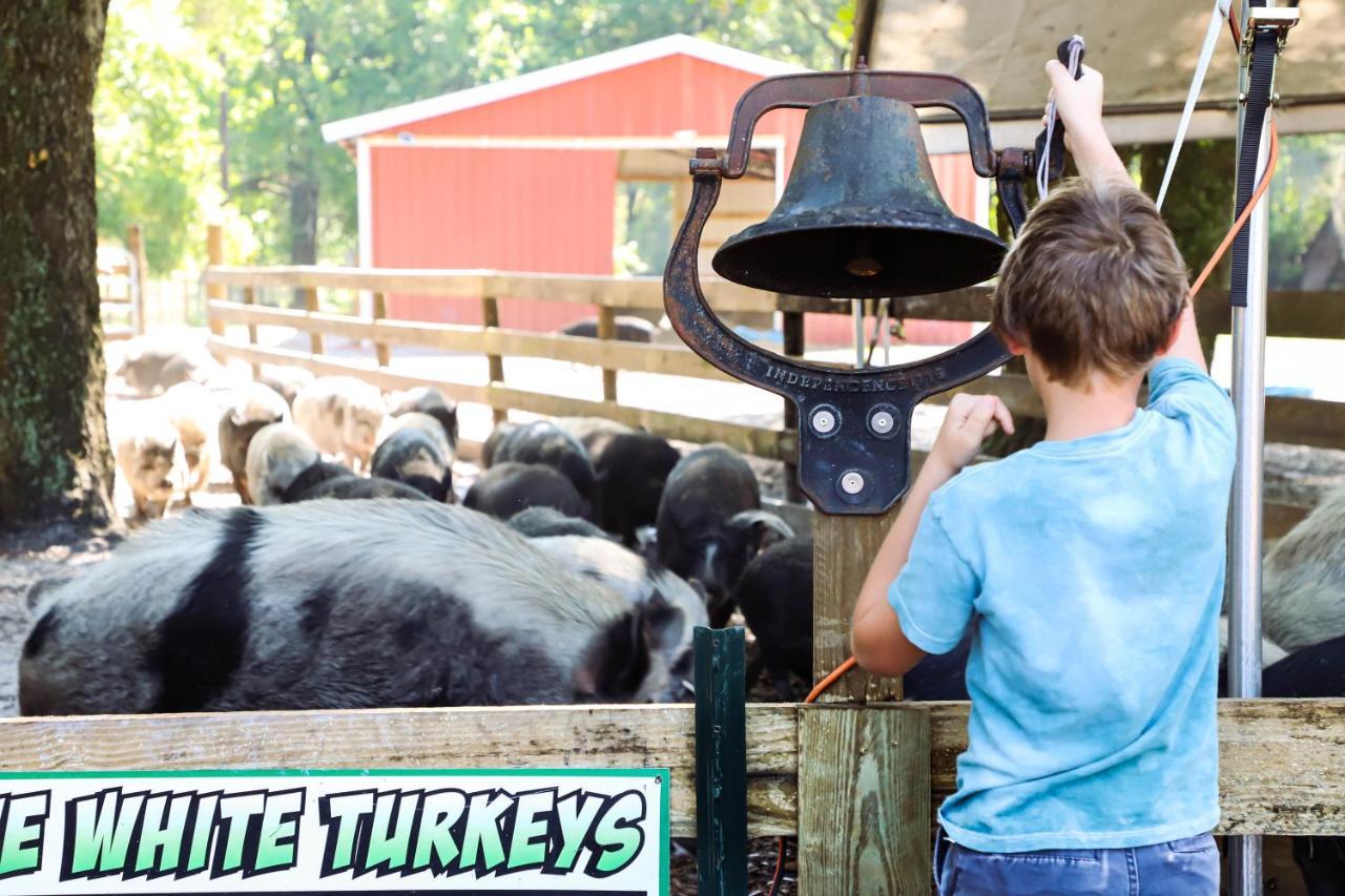 Rooterville Animal Sanctuary Melrose Exterior foto