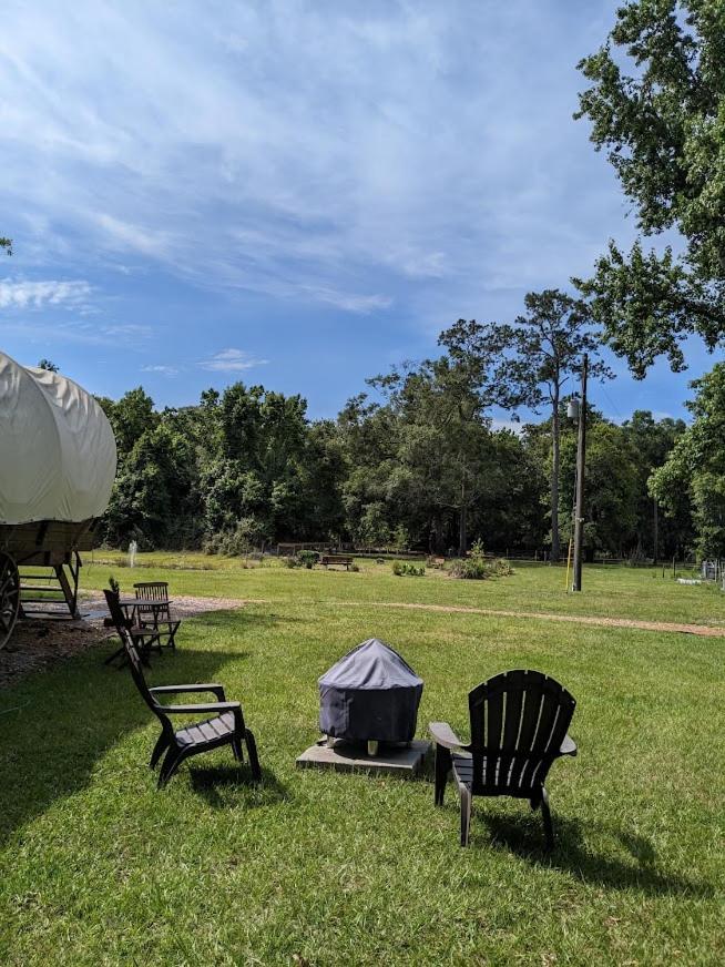 Rooterville Animal Sanctuary Melrose Exterior foto