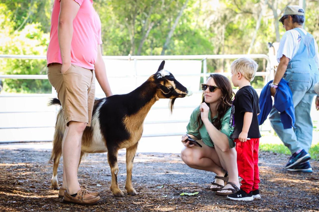 Rooterville Animal Sanctuary Melrose Exterior foto