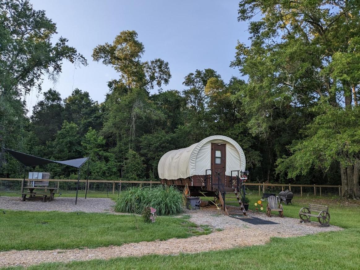 Rooterville Animal Sanctuary Melrose Exterior foto