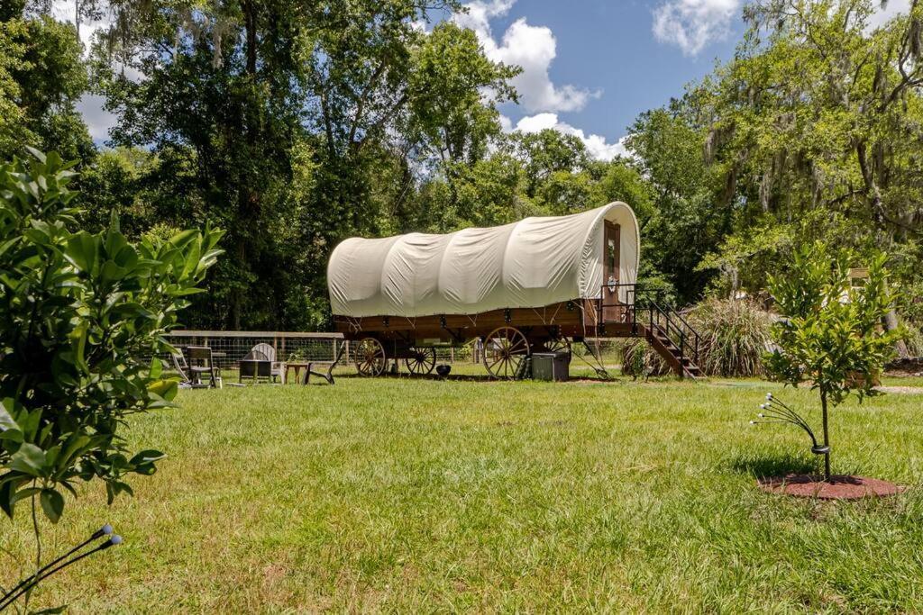 Rooterville Animal Sanctuary Melrose Exterior foto