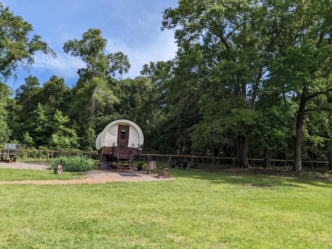 Rooterville Animal Sanctuary Melrose Exterior foto
