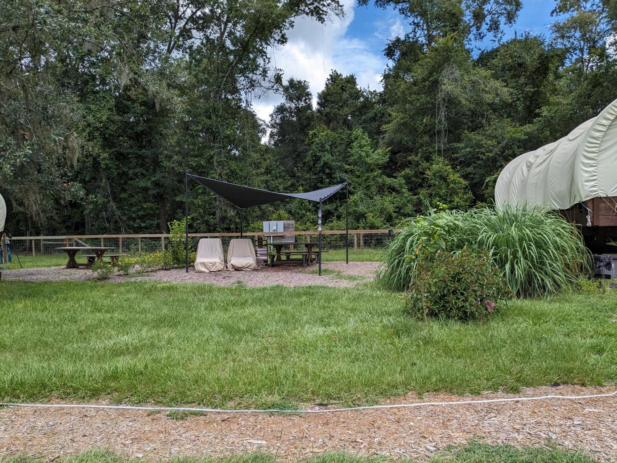 Rooterville Animal Sanctuary Melrose Exterior foto