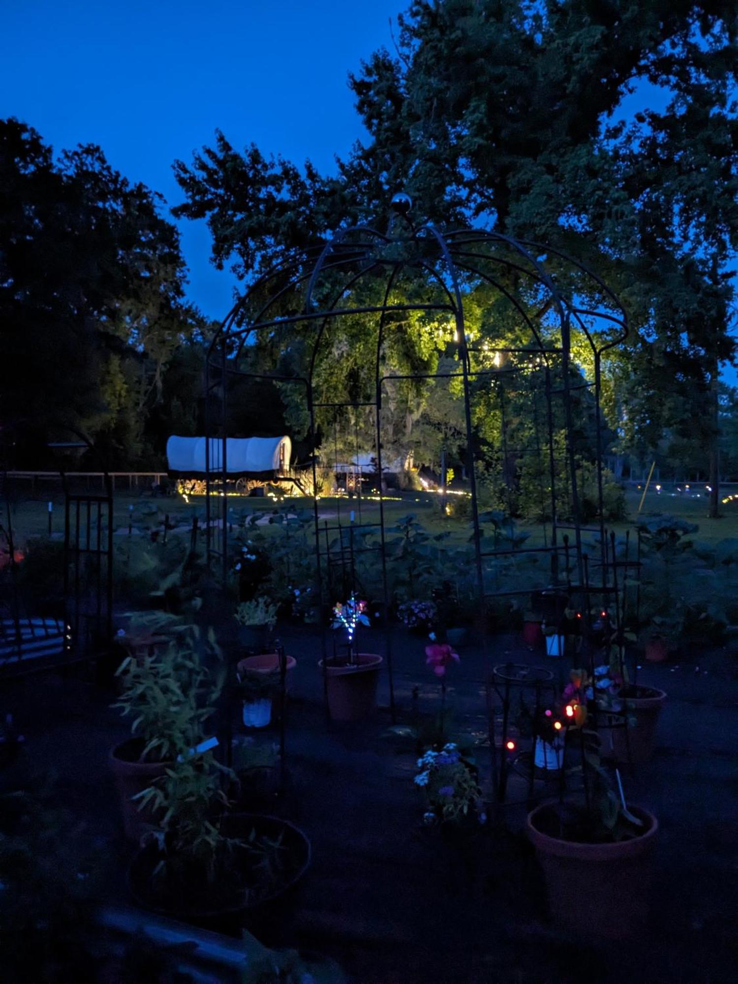 Rooterville Animal Sanctuary Melrose Exterior foto