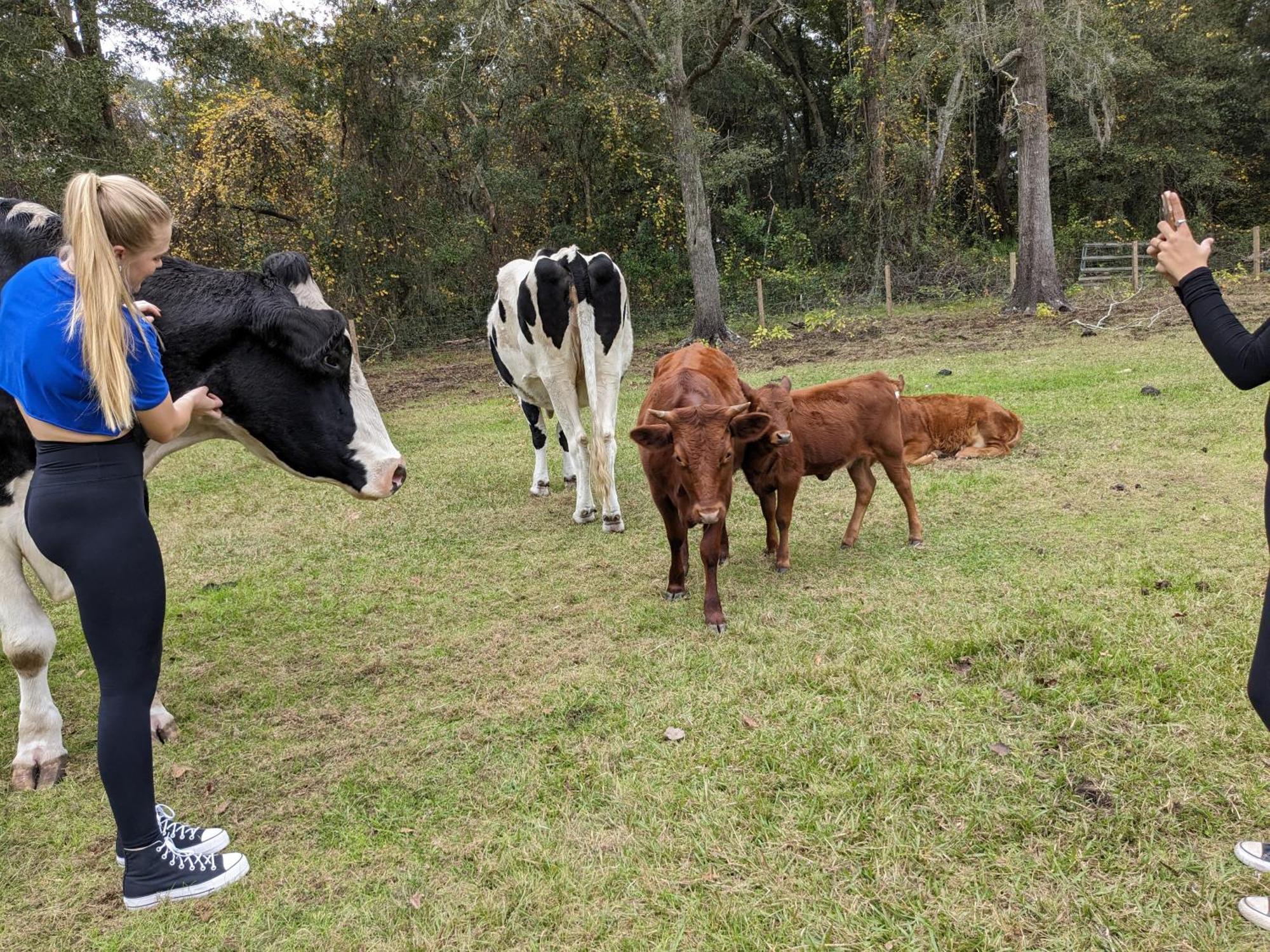 Rooterville Animal Sanctuary Melrose Exterior foto