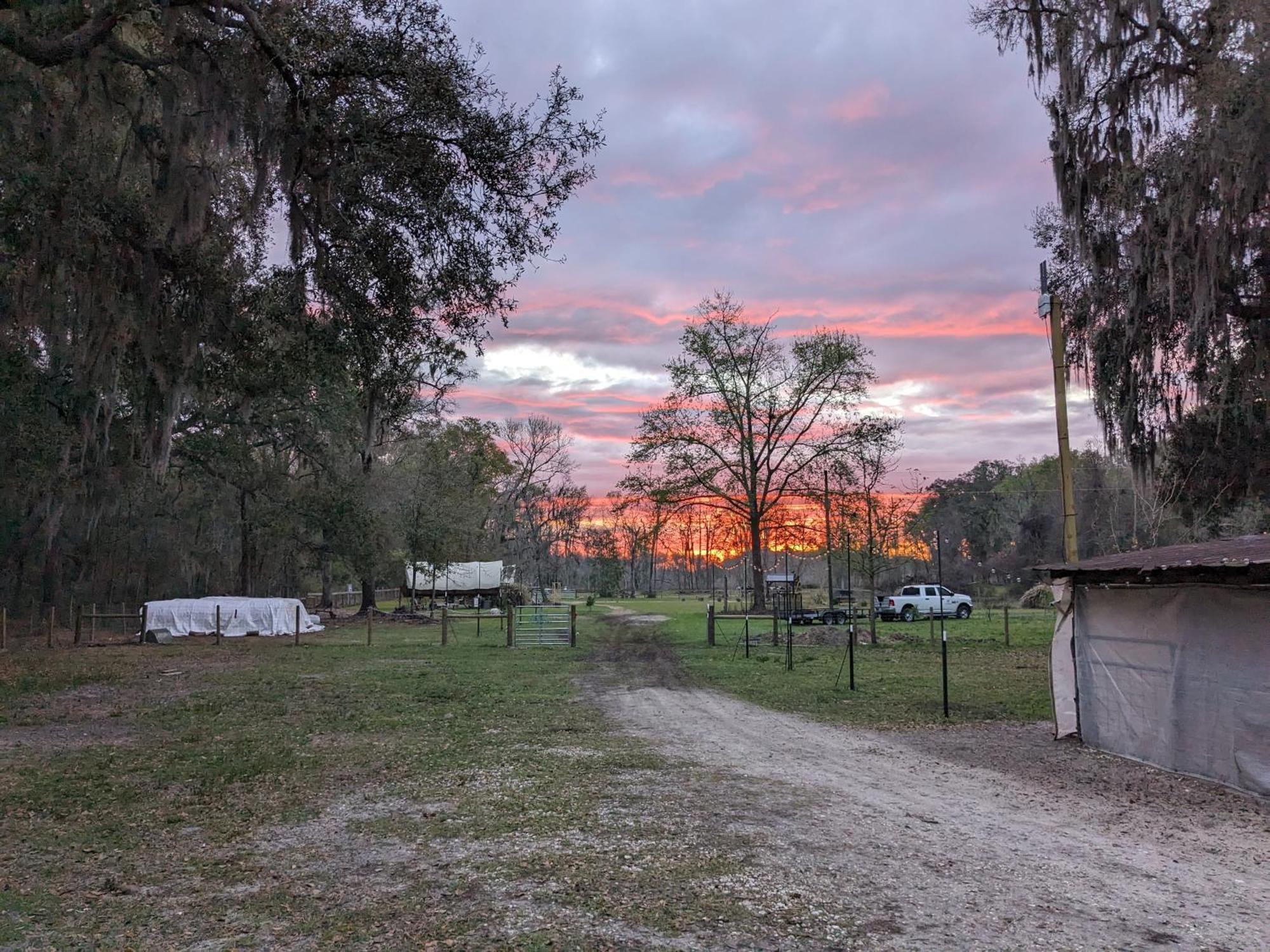 Rooterville Animal Sanctuary Melrose Exterior foto